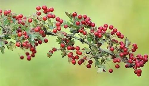 钱柜qg777(中国集团)唯一官方网站